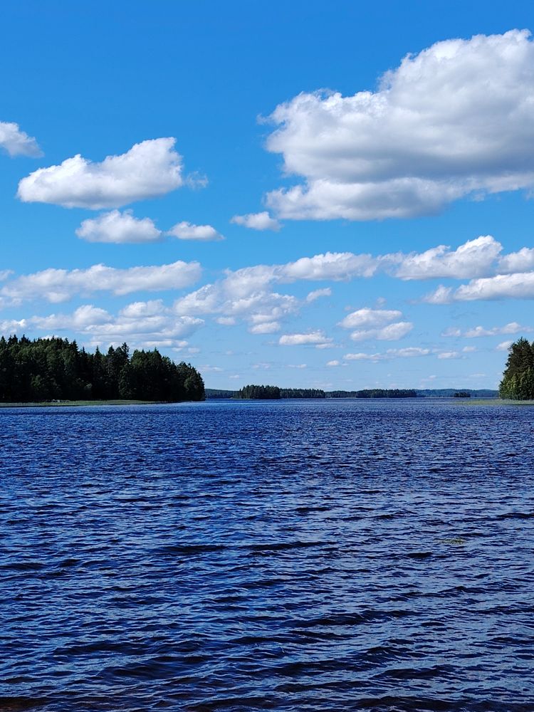Luonnonvesissä uiminen on terapeuttista