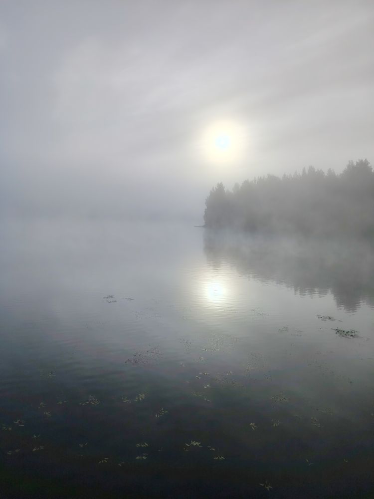 Aamukahvi aamu-usvan keskellä